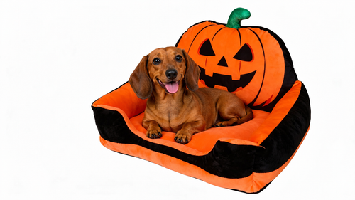 Jack-O'-Lantern Halloween Pet Sofa Bed