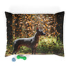 Xoloitzcuintli Pet Bed