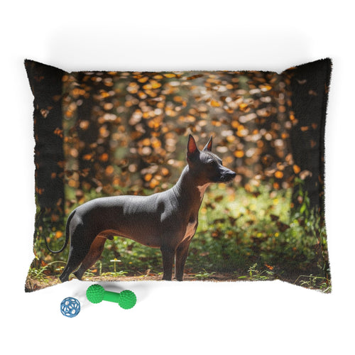 Xoloitzcuintli Pet Bed