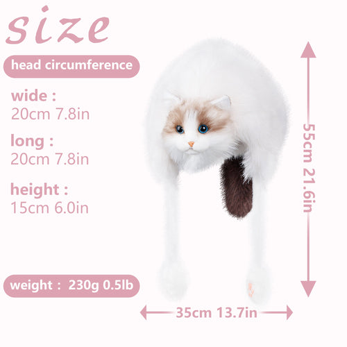 Kitten Hat