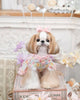 Luxury design dog dress pearls chain accessories 2 colors