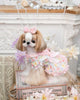 Luxury design dog dress pearls chain accessories 2 colors
