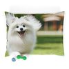 Pet Bed – Plush Dog Bed, 3 Size Options