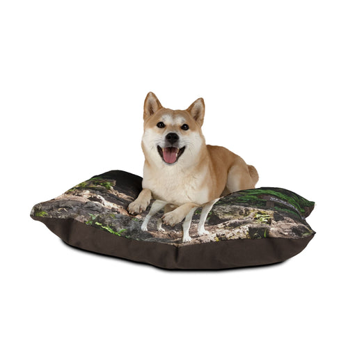 Korean Jindo Dog Pet Bed