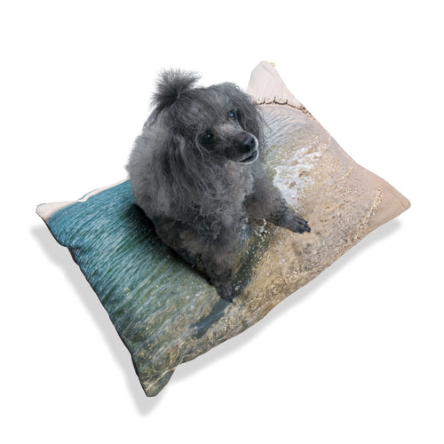 Brazilian Terrier Pet Bed