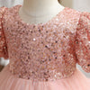 Baby Girl Sequin Ball Performance Costume Birthday Fluffy Gauze Princess Dress