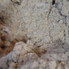 Worm Bedding EcoFluff