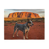 Australian Stumpy Tail Cattle Dog Blanket