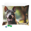 Pet Bed – Plush Dog Bed, 3 Size Options