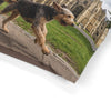 Otterhound Pet Bed