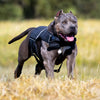 Bestia Dog Sport Weighted Harness