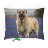 Pet Bed – Plush Dog Bed, 3 Size Options
