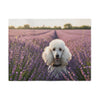 Sweatshirt Blanket – Plush Fleece Throw, 2 Size Options