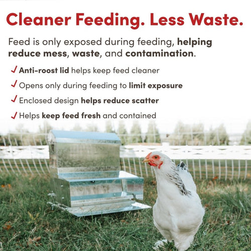 RentACoop 40 lb Automatic Treadle Chicken Feeder