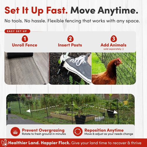 RentACoop Black Non-Electric Boundary Fence