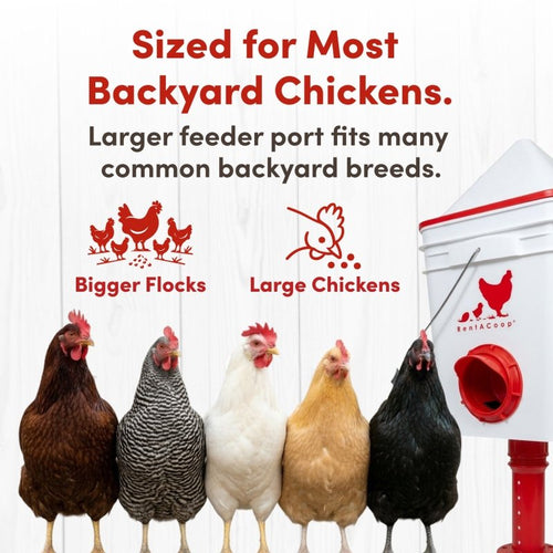RentACoop Chicken Feeder & Waterer Set– 25lb No-Waste Feeder with 4 Large Ports + 5-Gallon Waterer with Auto-Fill Cups & Horizontal Nipples