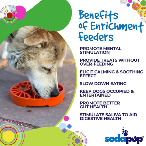 Sun and Moon eTray - Shallow Slow Feeder Dog Bowl for Enrichment | USA Made