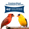 Kaytee Birders' Paradise Blend 20lb Wild Bird Seed for Cardinals, Finches & Songbirds
