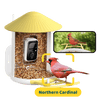 Birdfy Feeder - AI-Powered Smart Bird Feeder with Camera-Yellow