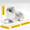 Plush Grey Hair Cat with Blue Eyes Order to Make
