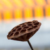 Dried Lotus Pods 3 Pack
