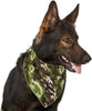 Aria Pet Bandana for Your All American Hound or Outdoor Dogs, Green Camo