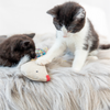 Natural Hemp Cat Toy - Eco-Kitty Bird