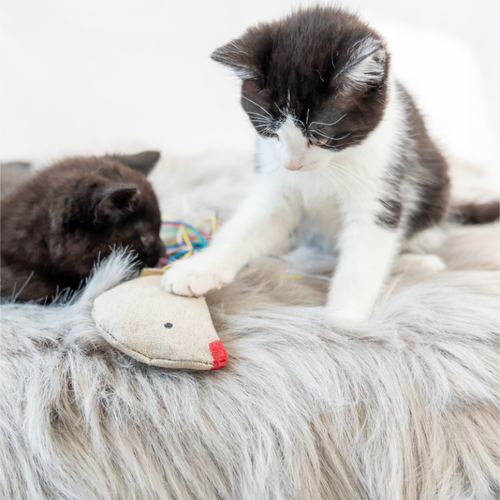 Natural Hemp Cat Toy - Eco-Kitty Bird