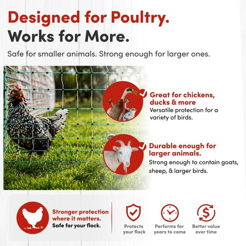 48 Electric Poultry Fencing - Suitable for Chickens, Ducks, Turkeys, and Other Poultry