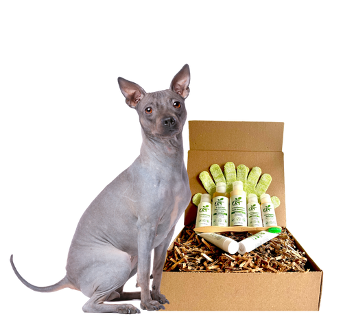 4-HAIRLESS PETS *DOG RESTORATIVE KIT
