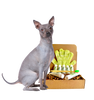 4-HAIRLESS PETS *DOG RESTORATIVE KIT