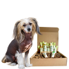 4-HAIRLESS PETS *DOG SENSITIVE KIT