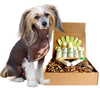 4-HAIRLESS PETS *DOG SENSITIVE KIT