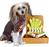 4-HAIRLESS PETS *DOG SENSITIVE KIT