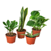 Easy Care Variety Bundle