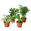 Pet Friendly Variety Bundle