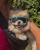 Dog goggle space style for Small Dog