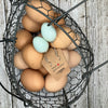 Quail Egg Earrings, Celadon