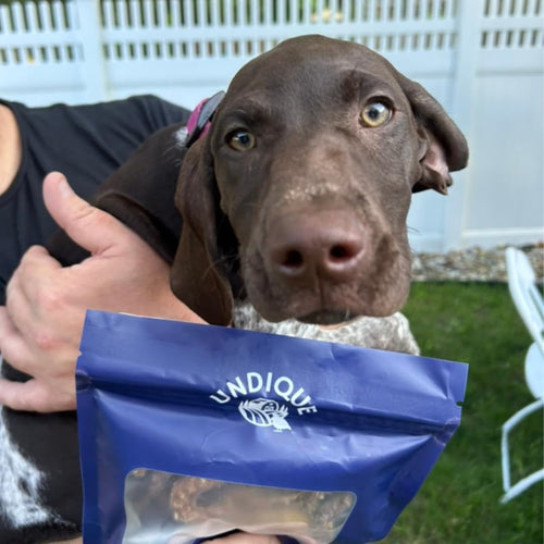 Quail Crunch Sticks Dog Treats, 10 Count Quail Spines Gourmet Dehydrated Healthy Dog Training Treats, Premium Flavors Promote Dental Health, No Artificial Additives for Happy Pets