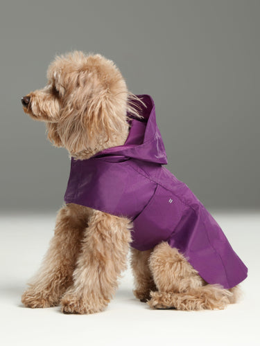 Capsule Raincoat - Purple