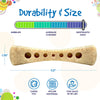 MOD Bone Nylon Dog Chew Toy for Aggressive Chewers | USA Made