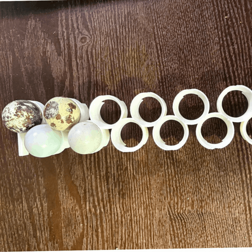 Jumbo Quail Egg Rails for Cimuka / Hatching Time CT60 – Full Set (12 Rails)
