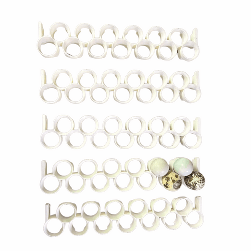 Jumbo Quail Egg Rails for Cimuka / Hatching Time CT120 – Full Set (24 Rails)
