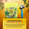 Carrot Mango Boost - Parrot Veggies Mix