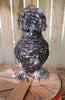 Silkie Hatching Eggs- Hens Choice