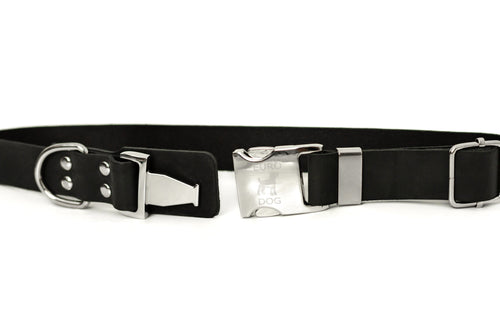 Modern Style Quick-Release Leather Dog Collar