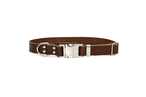 Modern Style Quick-Release Leather Dog Collar