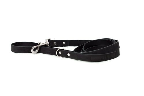 Modern Style Leather Dog Leash