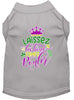 Pet Dog & Cat Shirt Screen Printed, Laissez Les Bons Temps Rouler