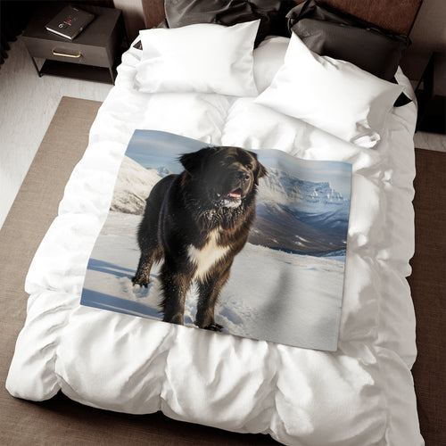 Newfoundland Blanket